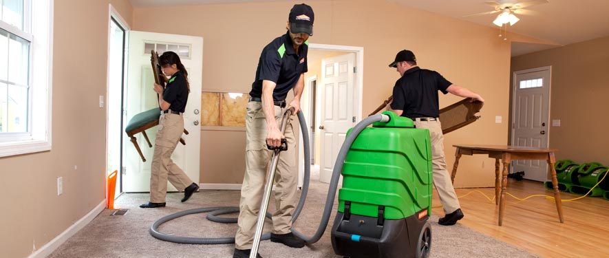 Springfield Township, PA cleaning services